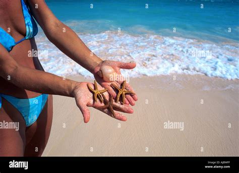 Frau Im Bikini Am Strand In Der Brandung Fotos Und Bildmaterial In
