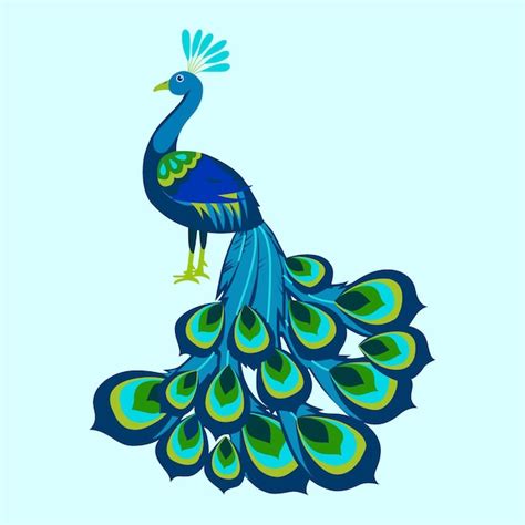 Premium Vector Vector Illustration Of Beautiful Peacock