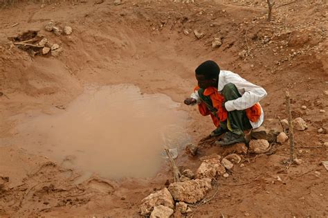 3人に1人の子ども、深刻な水不足 気候変動が子どもの心身の健康に影響 ユニセフ新報告書で警鐘