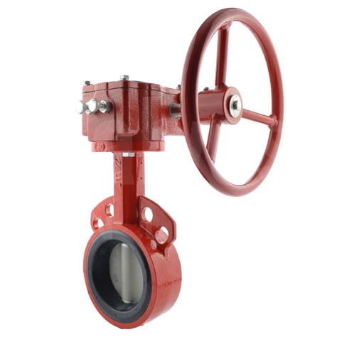 Bray Series 30 Wafer Butterfly Valve 316 Stainless Steel Disc