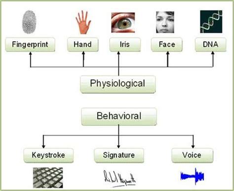 Classificationtypes Of Biometrics An Overview Of Behavioral And