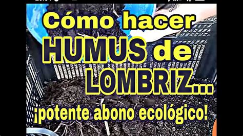 C Mo Hacer Una Vermicompostera Humus De Lombriz Youtube