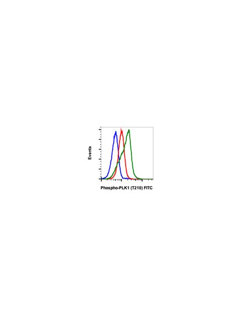 Phospho PLK1 Thr210 C2 Rabbit MAb FITC Conjugate Abwiz Bio