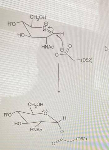 Solved A Step In The Mechanism For Lysozyme Is Depicted Chegg