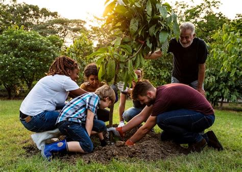 Grupo De Personas Plantar Un árbol Juntos Al Aire Libre Foto Premium