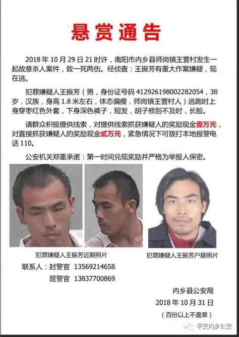 内乡对一刑案再通告悬赏并披露案情：男子故意杀人致一死两伤直击现场澎湃新闻 The Paper