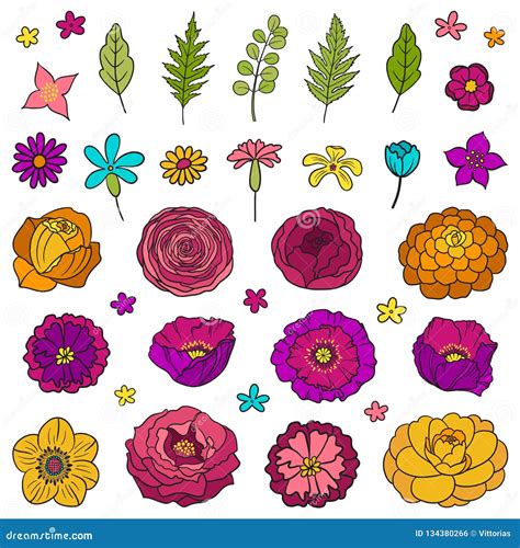 Set Of Floral Hand Drawn Elements Stock Vector Illustration Of Cute