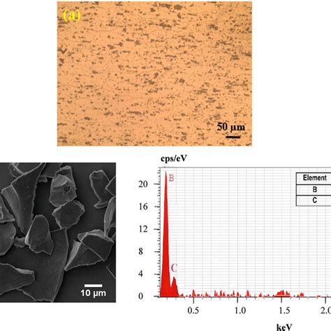 E A Optical Micrograph Of Al T Aluminum Alloy B Sem