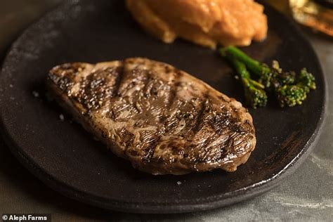 Worlds First Laboratory Grown Ribeye Steak Unveiled Daily Mail Online