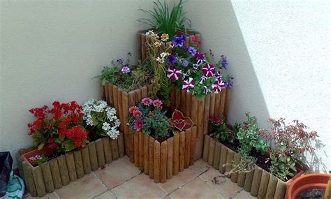 Plantas Para Macetas Grandes Container Plants Garden In The Woods