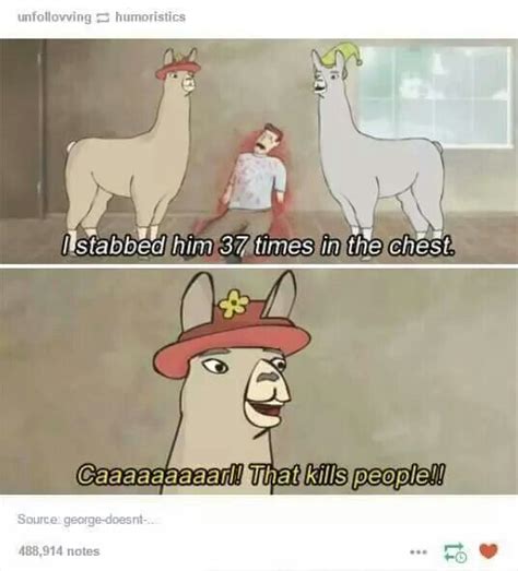 Caaaarl Llamas With Hats Funny Memes Lamas With Hats