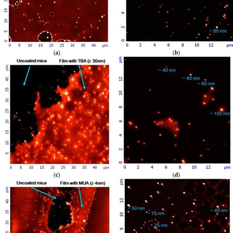 Atomic Force Microscopy AFM Images Of Newly Synthesized AgNPs A