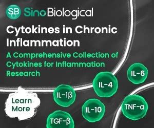 Pro and anti-inflammatory cytokines in chronic inflammation : Get Quote, RFQ, Price or Buy