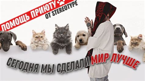 Помощь ПРИЮТУ / На меня хотела НАПАСТЬ РЫСЬ / Сделали МИР ЛУЧШЕ! - YouTube