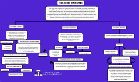 Mapas Conceptuales Del Ciclo Del Carbono Descargar