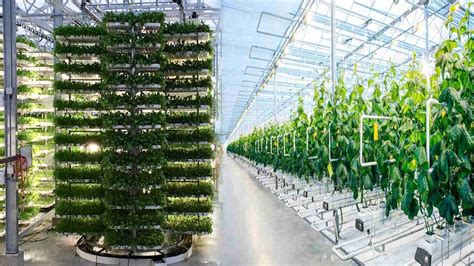 The Rise Of Greenhouse Farming Is Gaining Momentum In Youtube