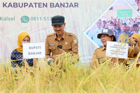 Sekolah Lapang Ditutup Petani Melayu Tengah Panen Raya Radio Suara