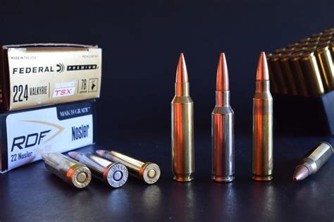 What Is The Best Ar Caliber For Hunting The Armory Life