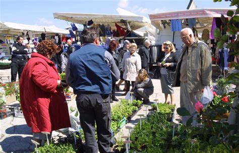 Il Grifo in B sfratta gli ambulanti così il mercato slitta alla domenica