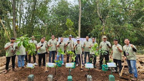 Bulan Menanam Nasional Sinar Mas Land Tanam Lebih Dari 1200 Pohon