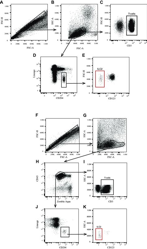 Fig E Gating Strategy To Identify Ilc S And T Cells From Human