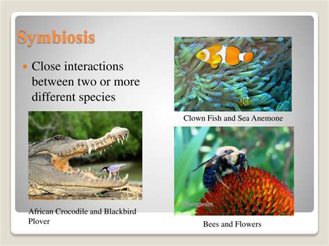 PPT - Symbiosis: Living Together PowerPoint Presentation, free download ...