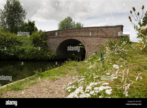 Chelmer & Blackwater Canal Stock Photo - Alamy