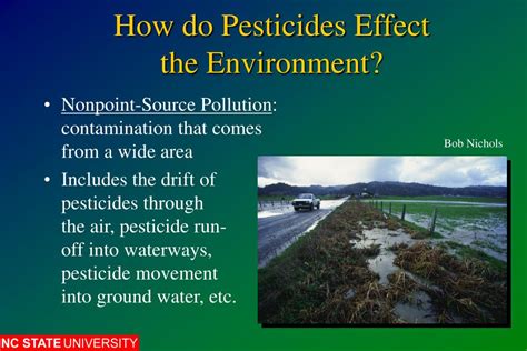 PPT - Environmental Effects of Pesticides PowerPoint Presentation - ID:732954