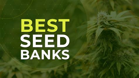 Best Seed Banks In Get Weed Seeds Legally In The Usa The