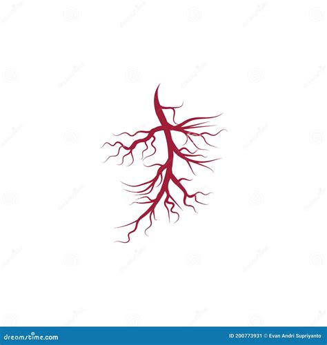 Veins Logo Template Vector Symbol Stock Vector Illustration Of Spider