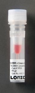 Sybr Green I Dna Stain Lonza Ward S Science