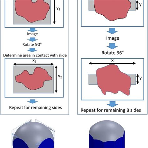 Manual and automatic tissue handling methods. (A) In the manual ...