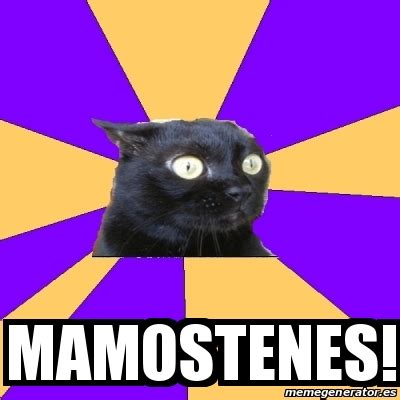 Meme Anxiety Cat Mamostenes