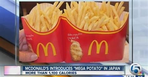 Mcdonalds Fries Are A Thing In Japan Imgur