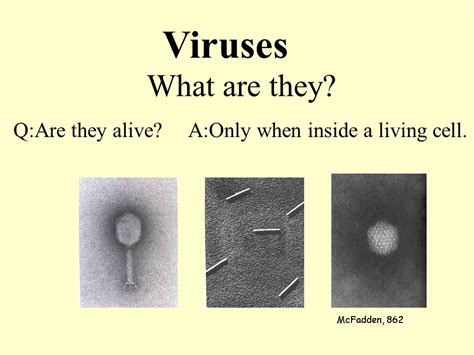 Ppt Viruses Powerpoint Presentation Free To Download Id 76deff Mju5z