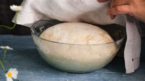 Is It Possible To Proof Bread In The Oven