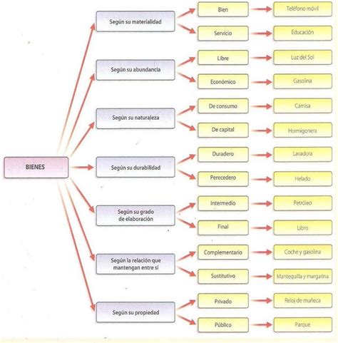 clasificación de los bienes tipos características y cuáles son