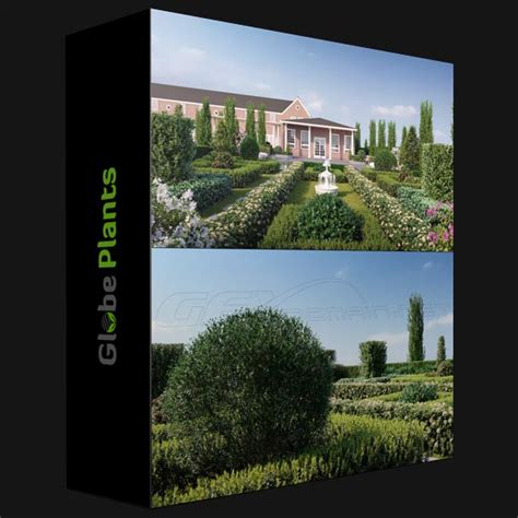 Globe Plants Bundle 07 Ornamental Plants And Hedges 3d Models Gfxdomain Blog