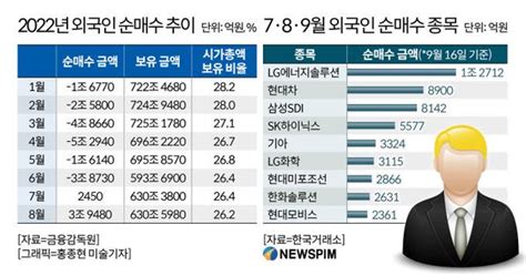 그래픽 2022년 외국인 순매수 추이 네이트 뉴스