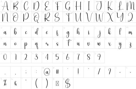 Signature Font | 1001 Free Fonts