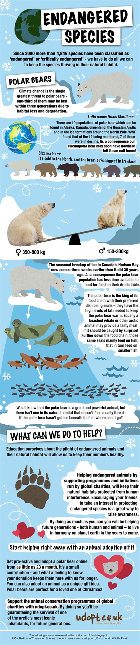 How You Can Help The Polar Bear Infographic Udopt Co Uk