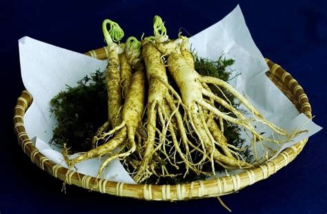 Что привезти из кореи