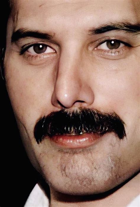 Pin By Carmen Laura 6 On Queen ️1971 1991 Queen Freddie Mercury