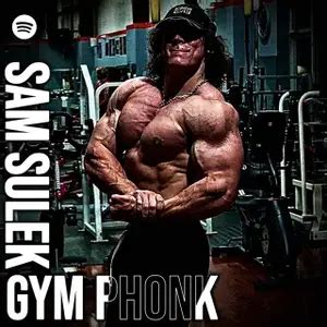 SAM SULEK GYM PHONK Playlist By LIGHTNING Spotify