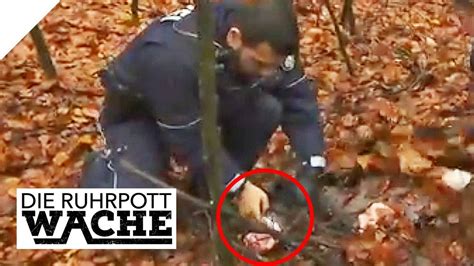 Hand Im Wald Entdeckt Wer Tat Ihr Das An Teil Can Yildiz