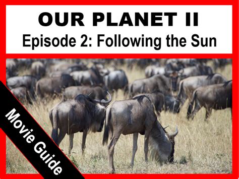 Our Planet Following The Sun S E Video Guide Netflix Series