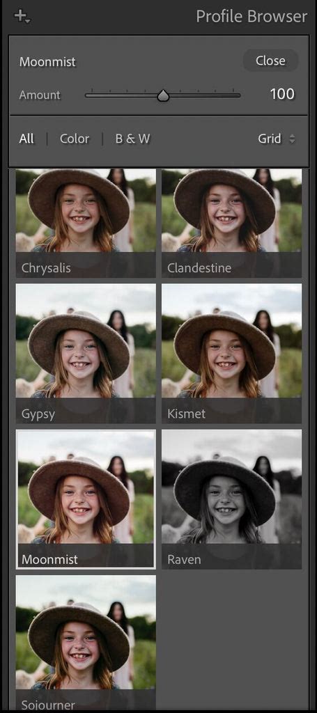 Introduction To Lightroom Profiles Pretty Presets For Lightroom