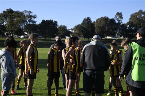 Team In Focus Archives Ampjfc Hawks