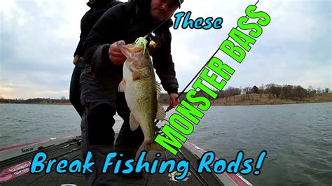 These Monster Bass Break Fishing Rods Youtube