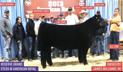 A Ranking Of Some Of The Best Show Steers Ever Campaigned By The Todd